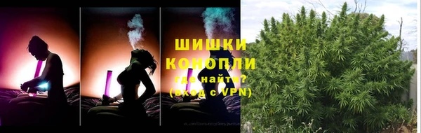 прущие грибы Алзамай