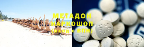 прущие грибы Алзамай